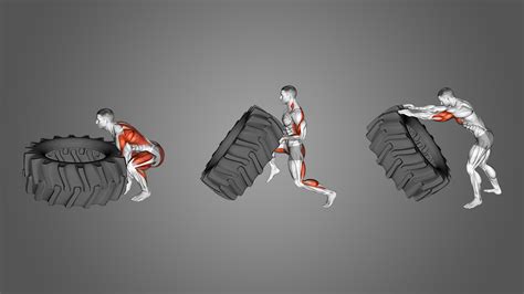 What Muscles Do Tire Flips Work: And Why Do They Feel Like a Full-Body Conversation with Gravity?